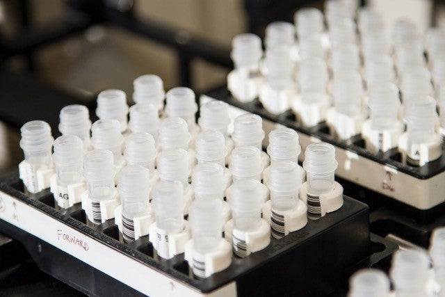 Groups of vials